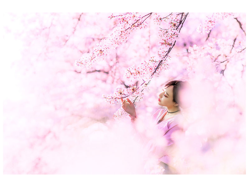 modern-3-piece-canvas-print-sakura