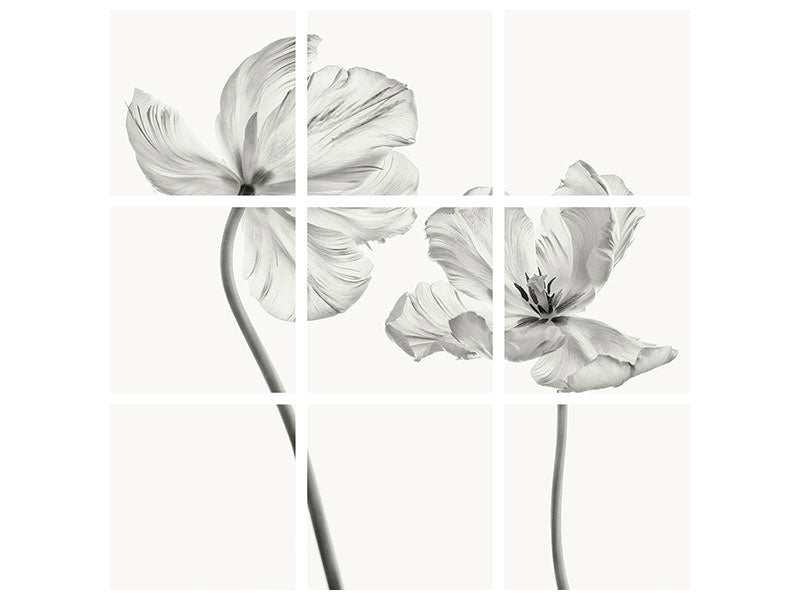 4-piece-canvas-print-same-tulip-front-and-backview