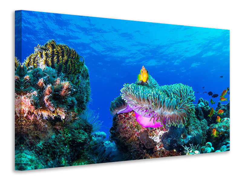 modern-4-piece-canvas-print-sea-life