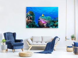 panoramic-3-piece-canvas-print-sea-life