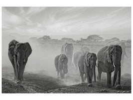 4-piece-canvas-print-sequence-of-emotion