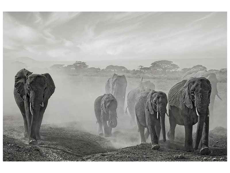 modern-3-piece-canvas-print-sequence-of-emotion