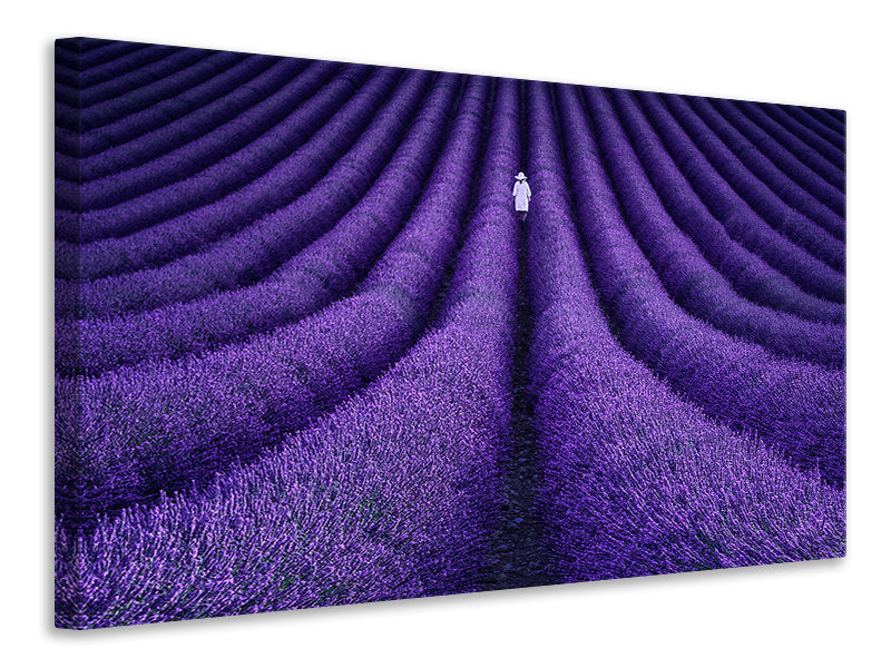 3-piece-canvas-print-she