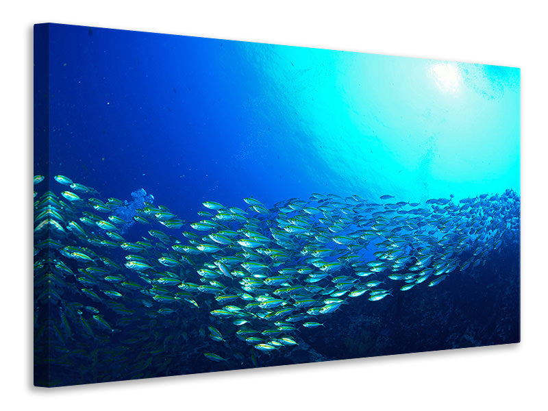 panoramic-3-piece-canvas-print-shoal-of-fish