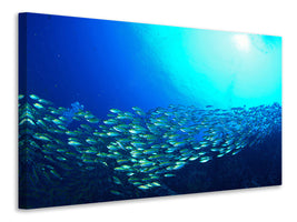 3-piece-canvas-print-shoal-of-fish