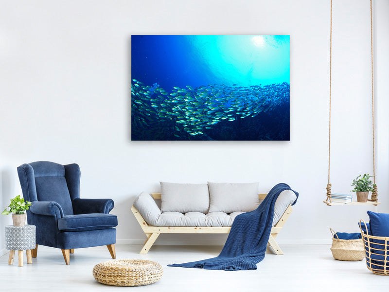 modern-4-piece-canvas-print-shoal-of-fish