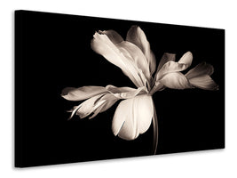 panoramic-canvas-print-simplicity