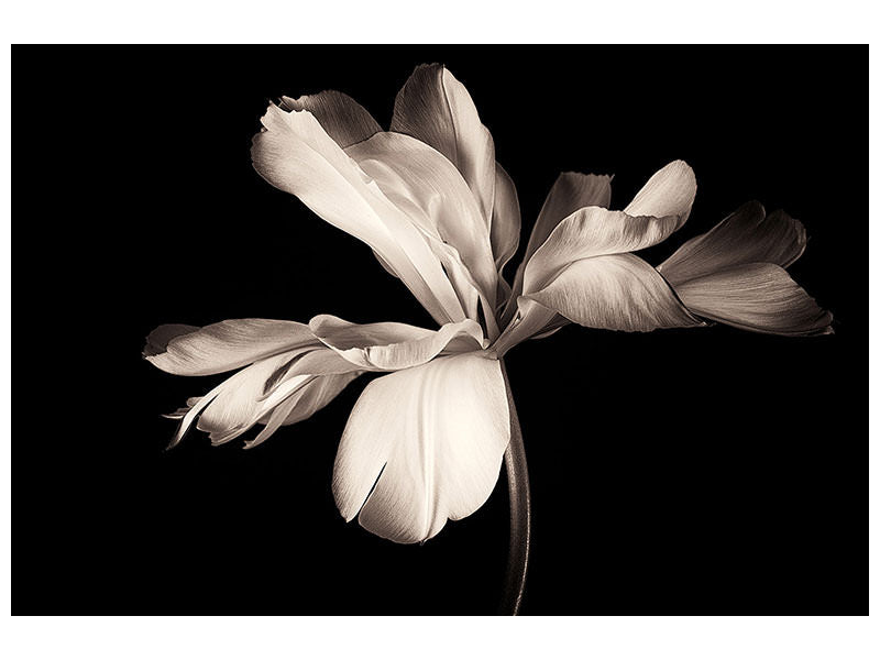 modern-3-piece-canvas-print-simplicity