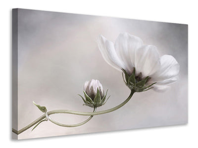 modern-4-piece-canvas-print-simply-cosmos