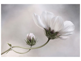 modern-3-piece-canvas-print-simply-cosmos