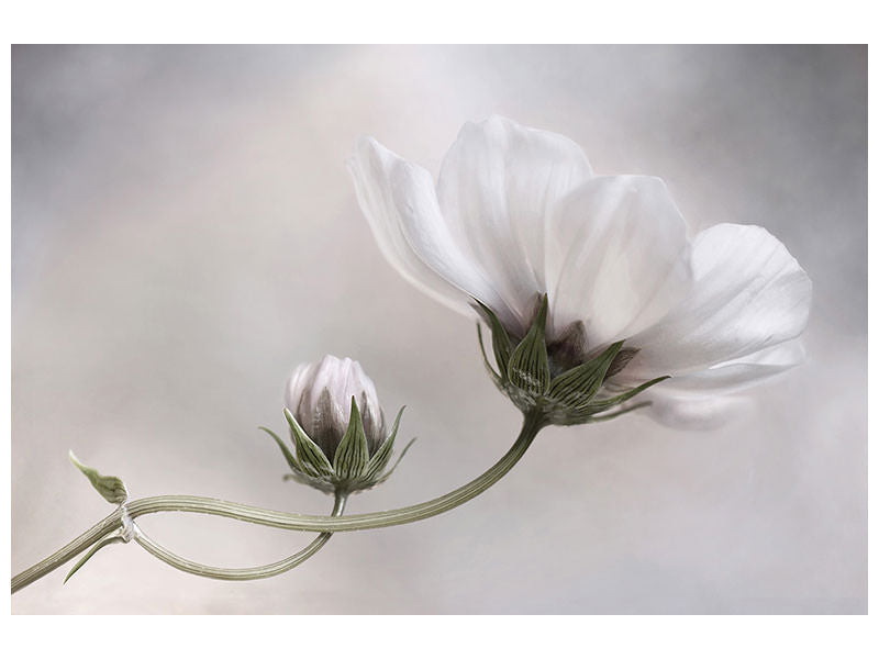 modern-3-piece-canvas-print-simply-cosmos