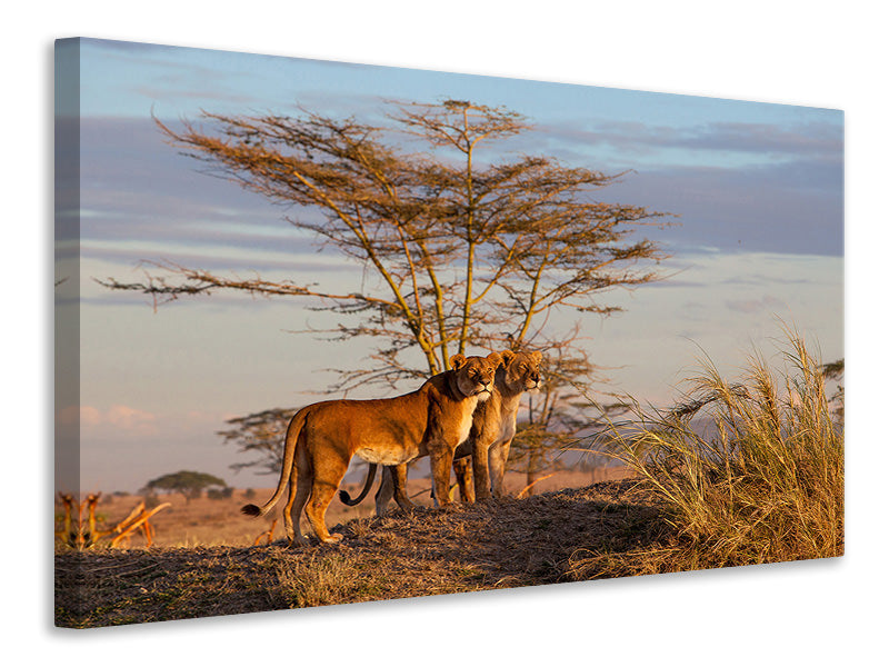 modern-4-piece-canvas-print-sisters