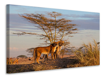 modern-4-piece-canvas-print-sisters