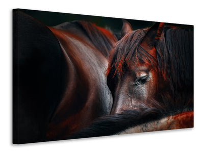 5-piece-canvas-print-sleep-huddle