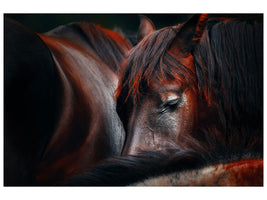 4-piece-canvas-print-sleep-huddle