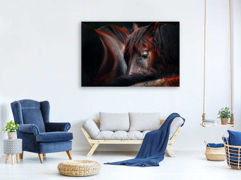 panoramic-canvas-print-sleep-huddle