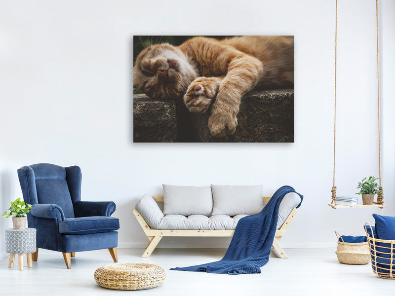 3-piece-canvas-print-sleeping-cat