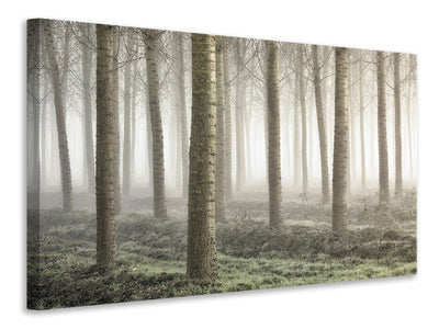 modern-4-piece-canvas-print-small-woodland
