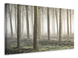 4-piece-canvas-print-small-woodland