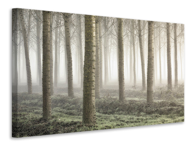 4-piece-canvas-print-small-woodland