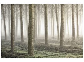 panoramic-3-piece-canvas-print-small-woodland