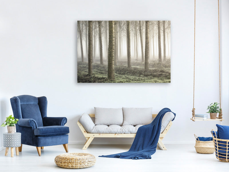 modern-4-piece-canvas-print-small-woodland