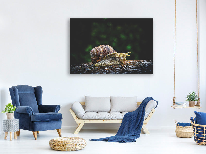 3-piece-canvas-print-snail-xxl