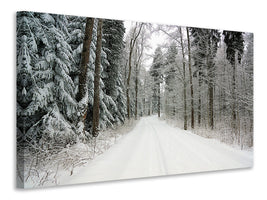 3-piece-canvas-print-snow-in-the-forest