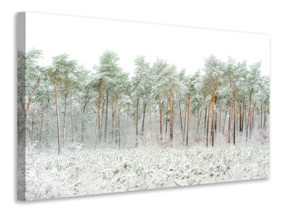 modern-4-piece-canvas-print-snow-world