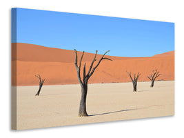 3-piece-canvas-print-sossusvlei-namibia