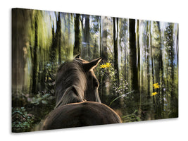 modern-3-piece-canvas-print-sound-are-forest