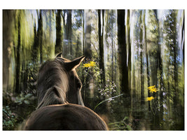 5-piece-canvas-print-sound-are-forest