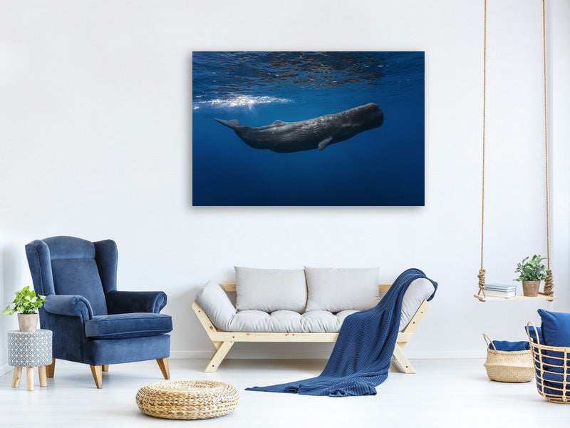 3-piece-canvas-print-sperm-whale