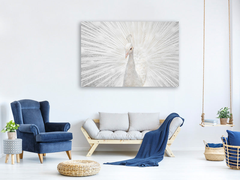 panoramic-canvas-print-splendid-whitie
