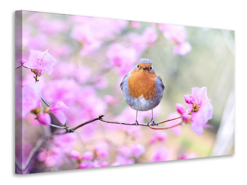 panoramic-3-piece-canvas-print-spring-bird