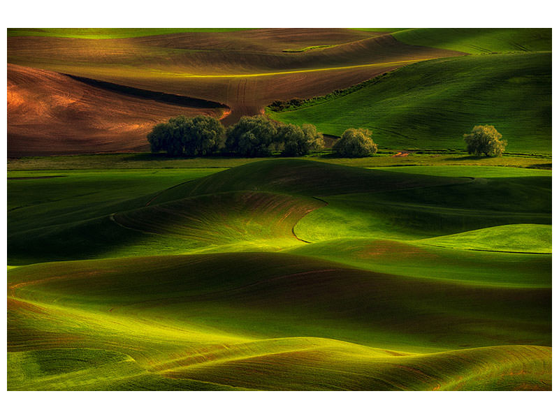 panoramic-canvas-print-spring-in-the-palouse