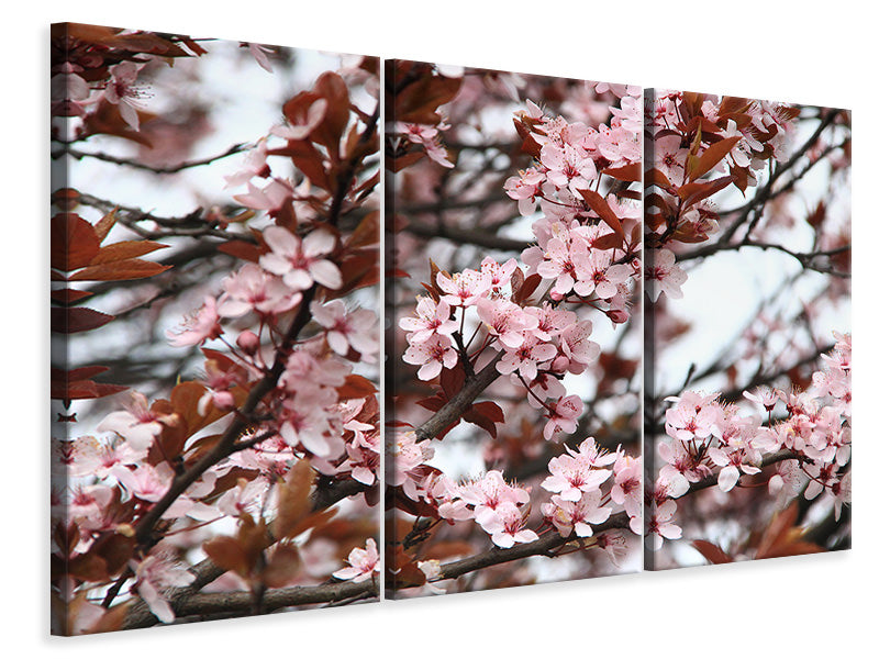 4-piece-canvas-print-spring-is-here