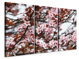 panoramic-canvas-print-spring-is-here
