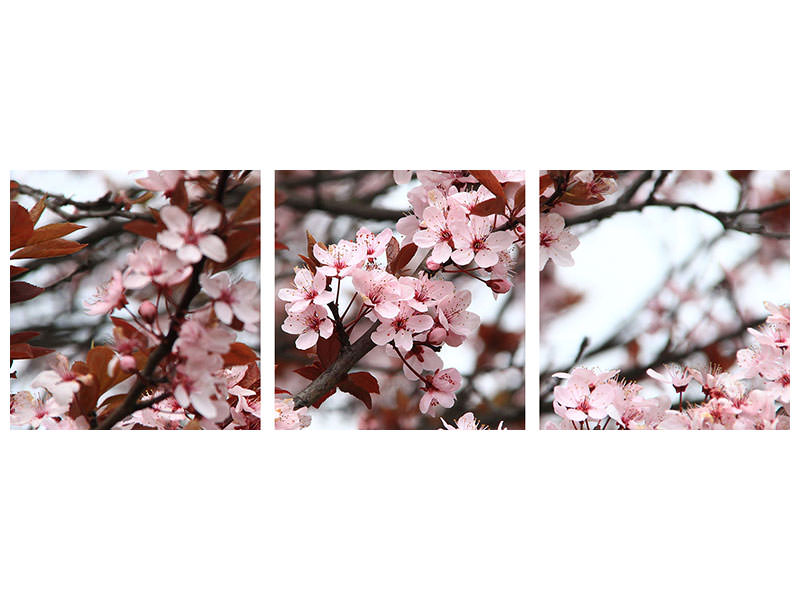 modern-3-piece-canvas-print-spring-is-here
