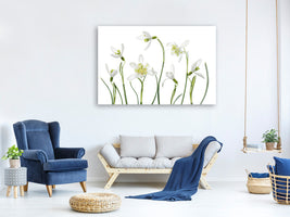 modern-3-piece-canvas-print-spring-snowdrops