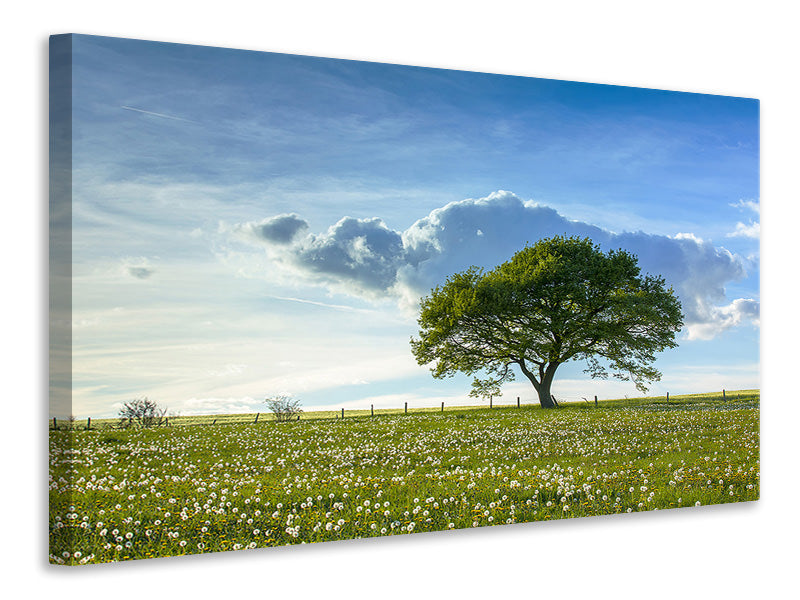 4-piece-canvas-print-spring-tree