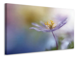 modern-4-piece-canvas-print-springtime-watercolor