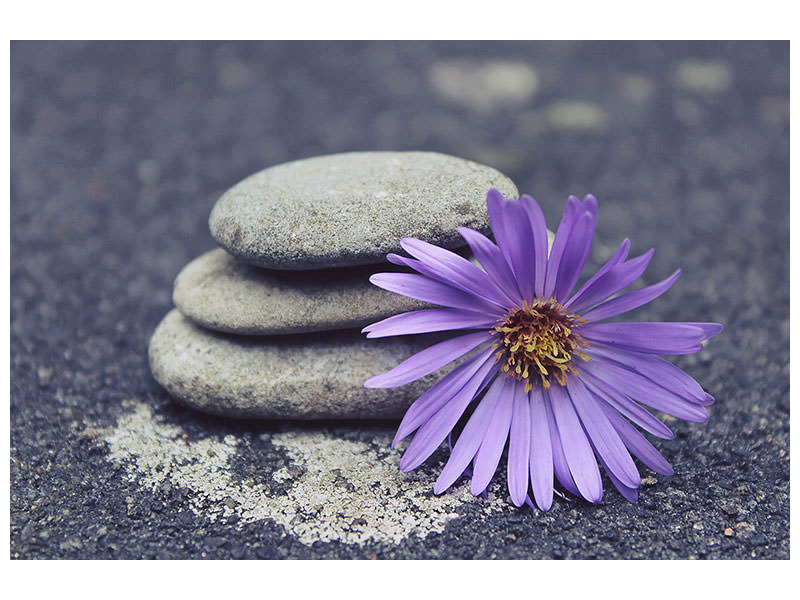 5-piece-canvas-print-stack-stones
