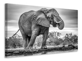 3-piece-canvas-print-standing-proud
