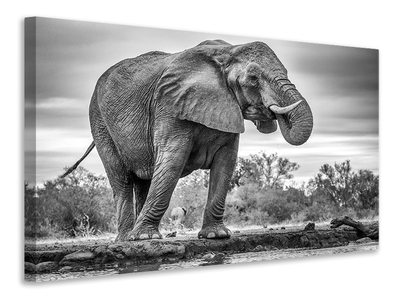 3-piece-canvas-print-standing-proud
