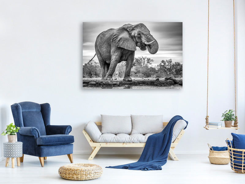 3-piece-canvas-print-standing-proud