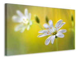 modern-3-piece-canvas-print-stitchwort-ii