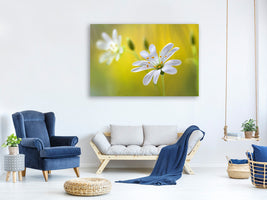 modern-3-piece-canvas-print-stitchwort-ii
