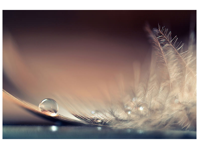 5-piece-canvas-print-stories-of-drops