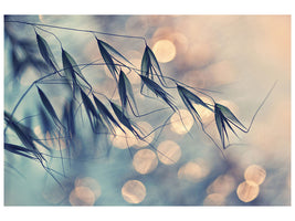 5-piece-canvas-print-straws